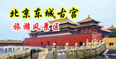 十八岁以下禁看美女脱衣服中国北京-东城古宫旅游风景区
